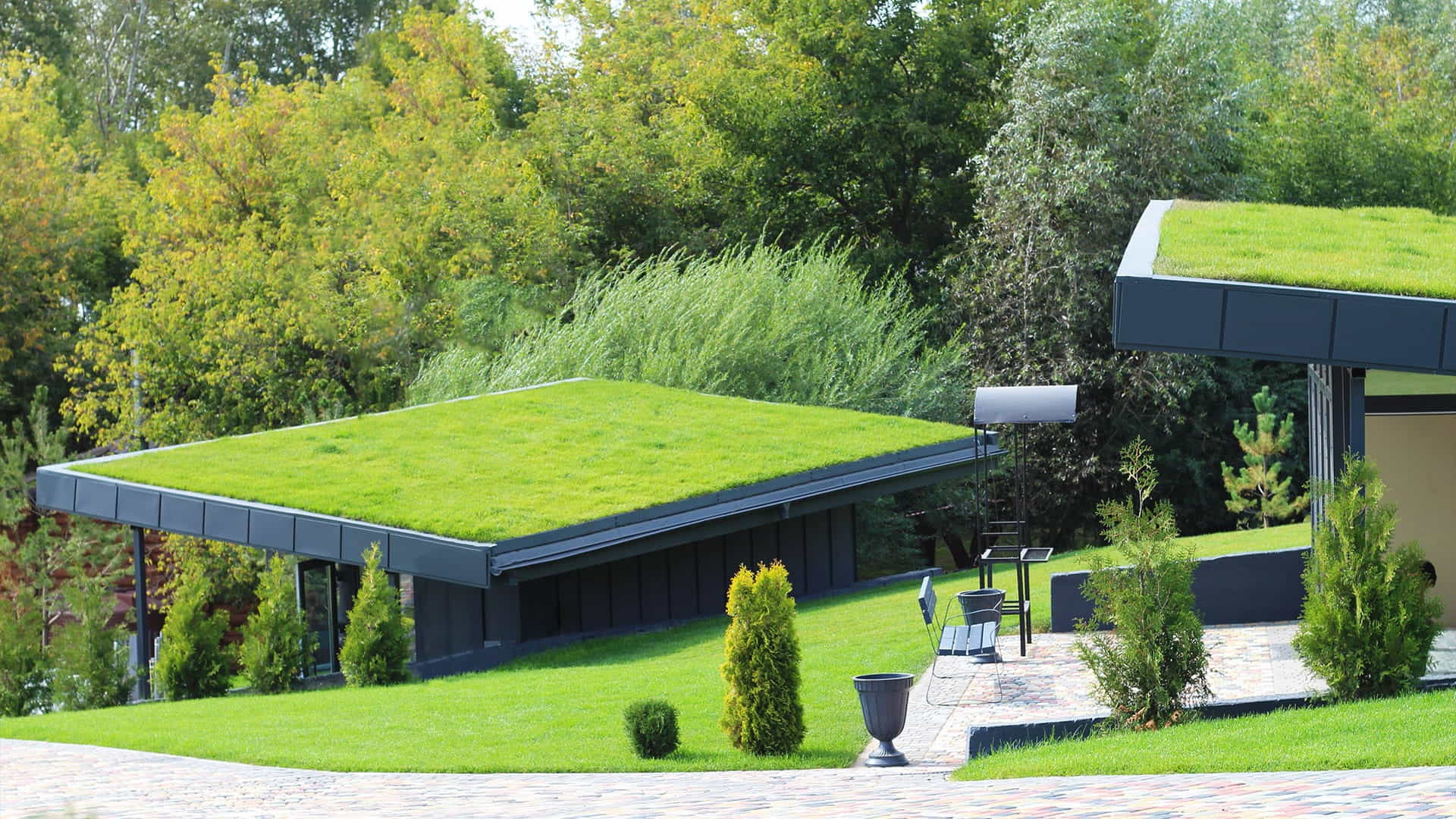 Extenzívna zelená strecha