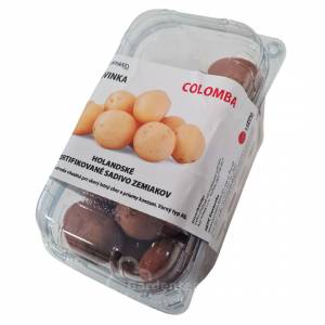 Sadbové zemiaky Colomba minihľuzy 1kg skoré