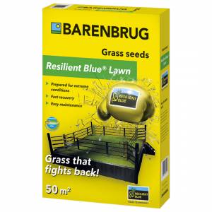 Trávne osivo Barenbrug Resilient blue lawn